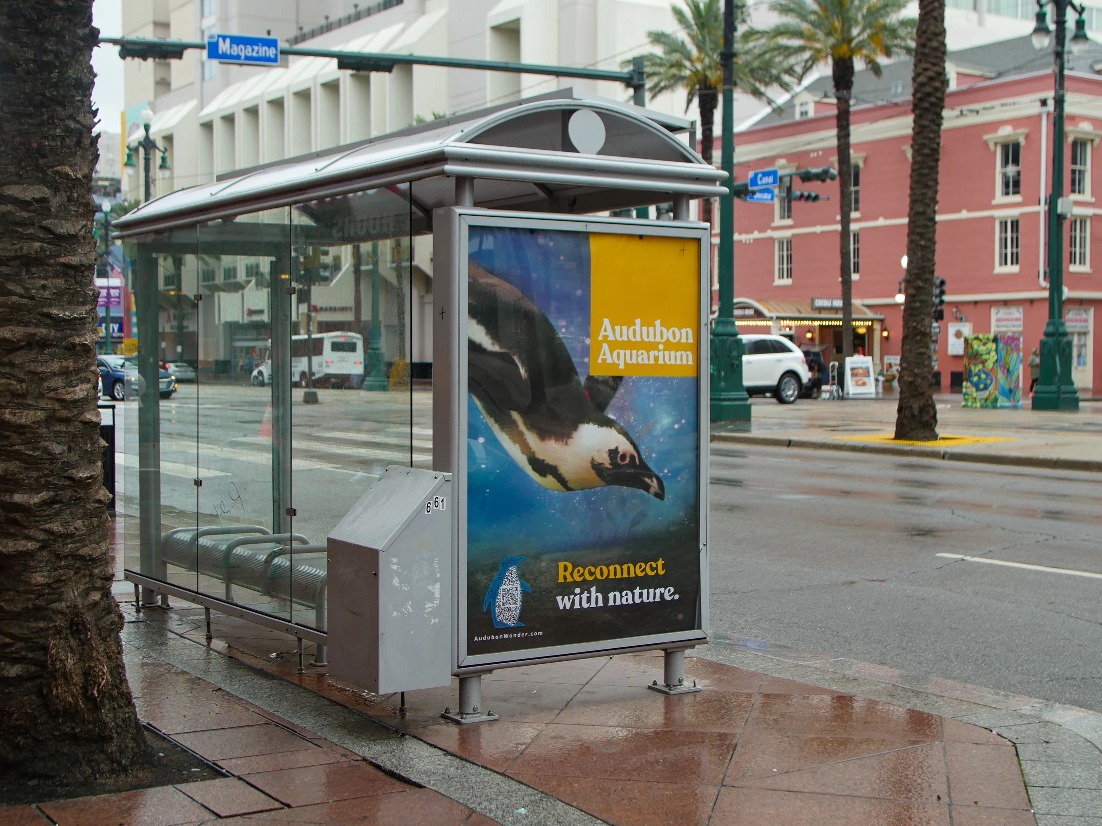 Audubon Aquarium penguin campaign displayed at a New Orleans bus shelter