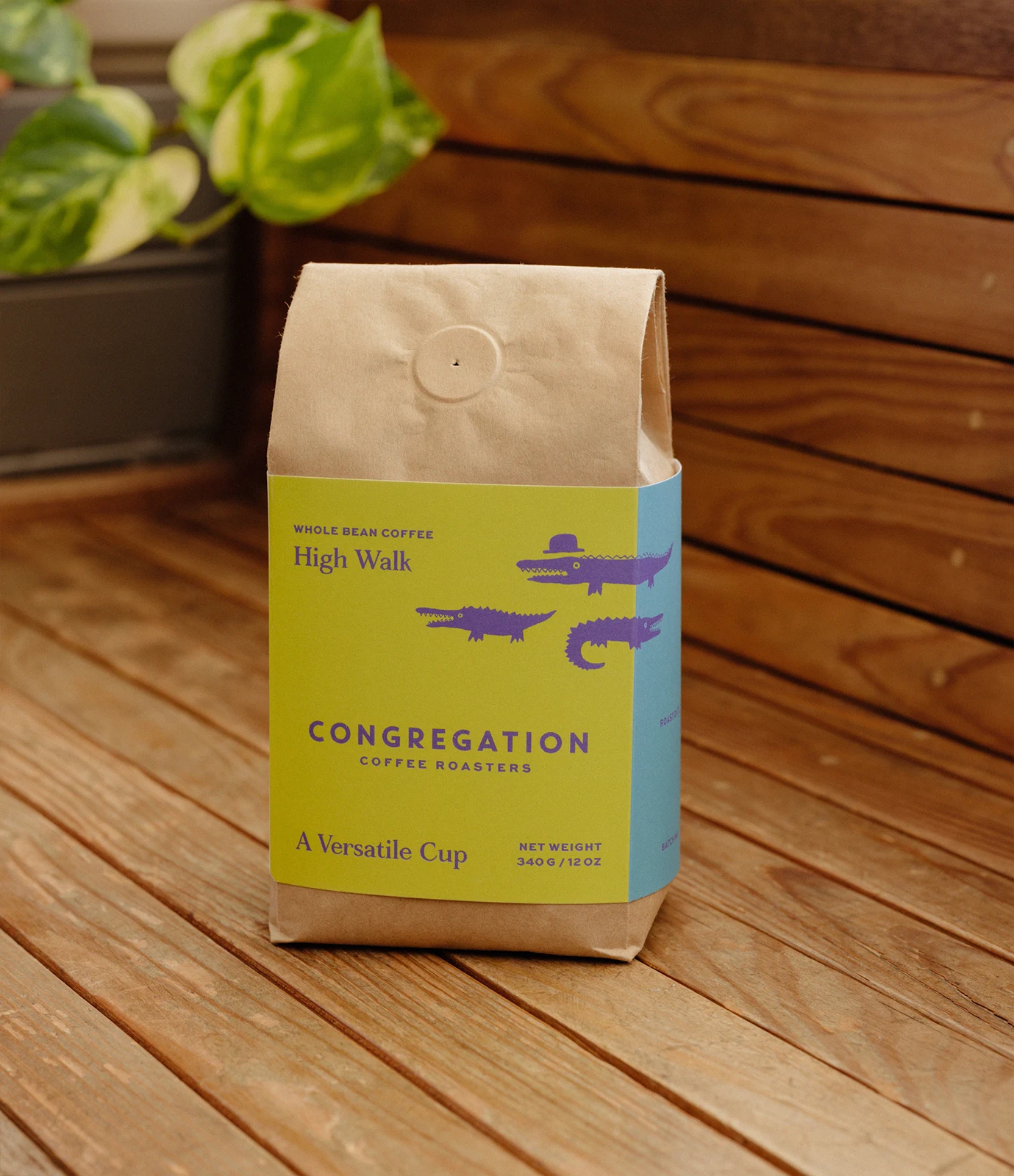 Yellow illustrated Congregation Coffee label on a bag beside a green plant